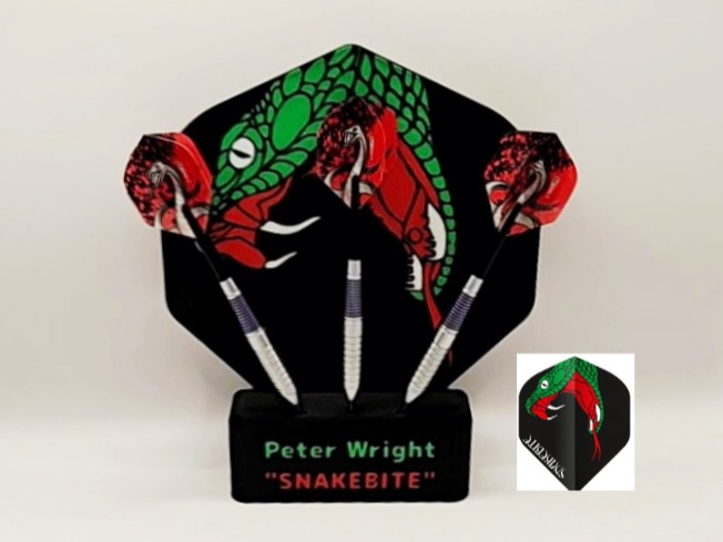 VAN BARNEVELD AND WRIGHT CRASH OUT IN GERMAN DARTS GRAND PRIX FIRST ROUND